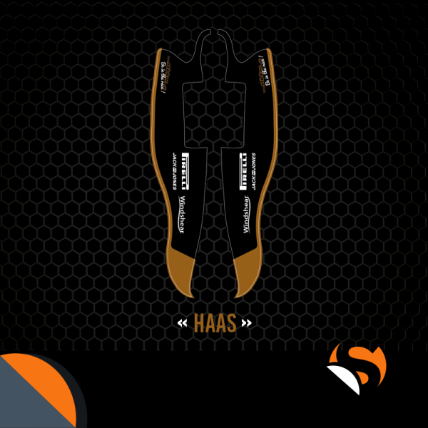 NASSAU F1 / HAAS 2019