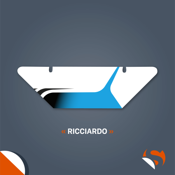 VOLET DE RADIATEUR - RICCIARDO